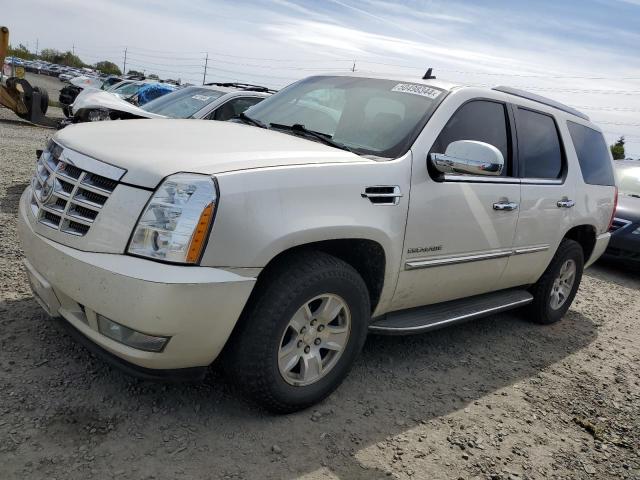 2010 CADILLAC ESCALADE  2010 image
