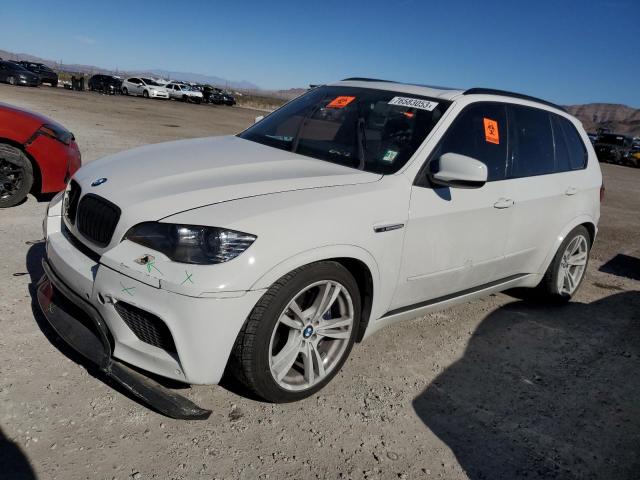 Obraz 2011 BMW X5 M 2011