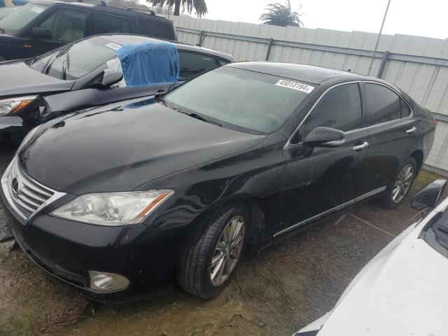 Obraz 2012 LEXUS ES 350 2012