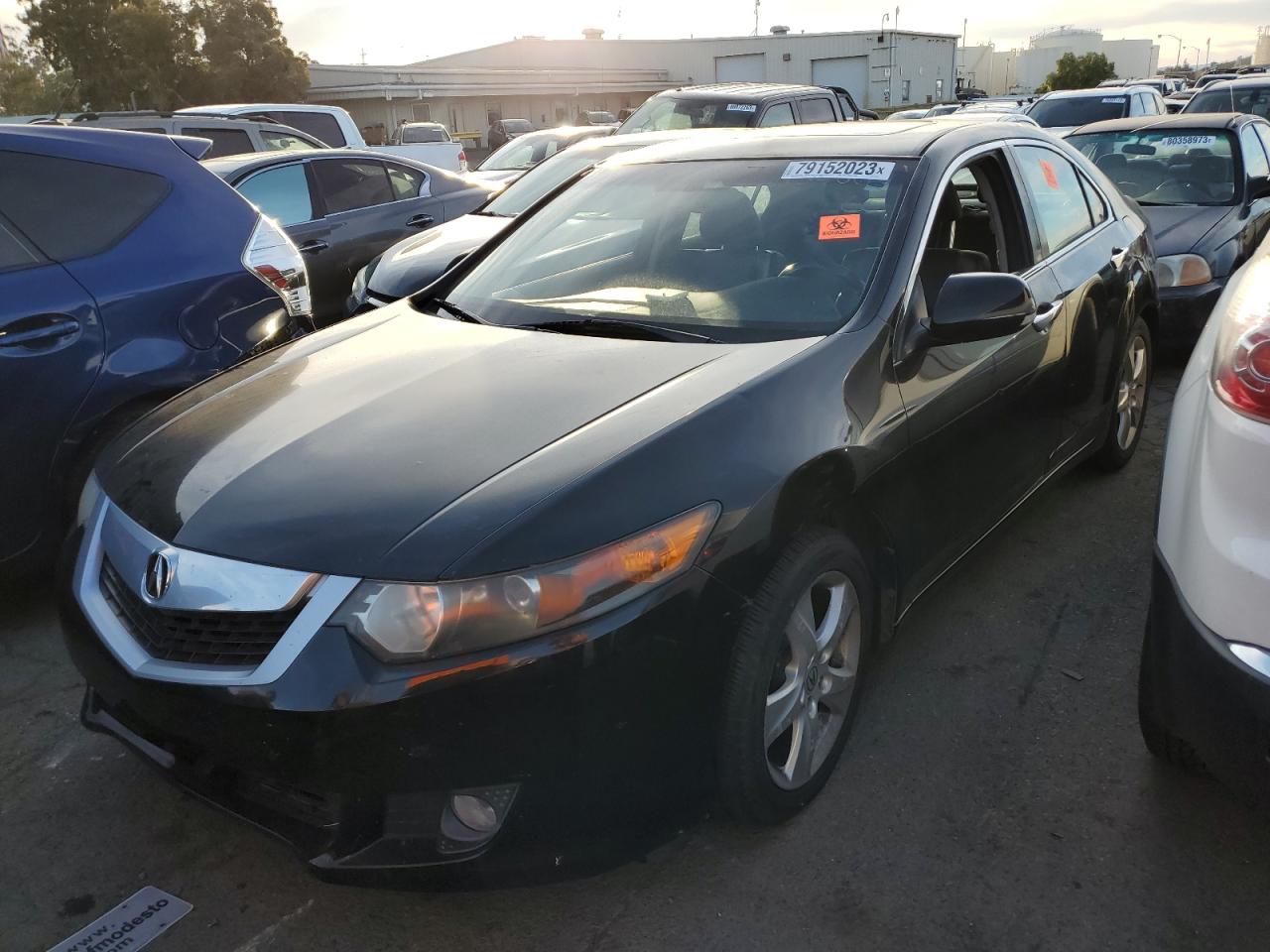 2009 ACURA TSX  2009 image