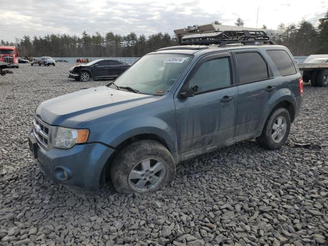 Image 1 of 2010 FORD ESCAPE XLT 2010 with VIN 1FMCU9DG5AKA71371