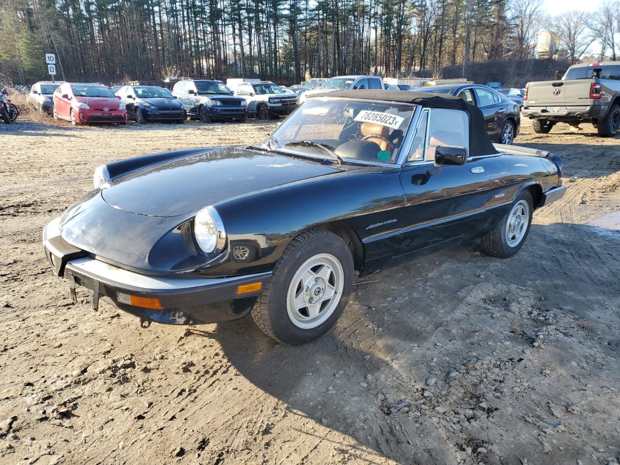 1987 ALFA ROMEO SPIDER VEL 1987 image