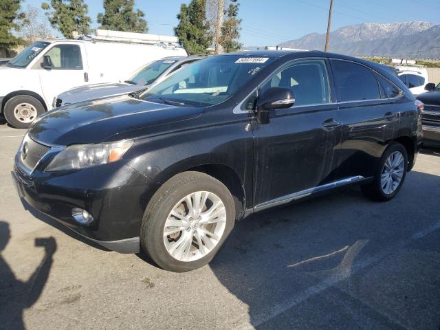 2011 LEXUS RX 450 2011 image