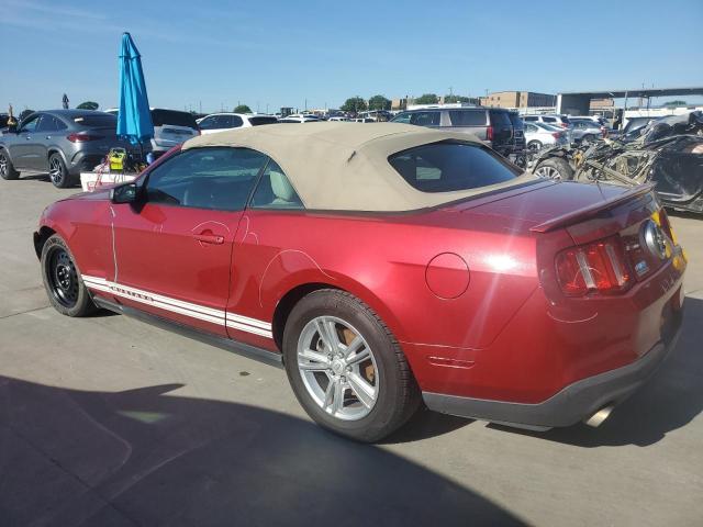 Obraz 2 z 2011 FORD MUSTANG  2011 z VIN 1ZVBP8EM8B5100607