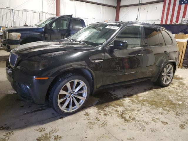 2010 BMW X5 M 2010 image