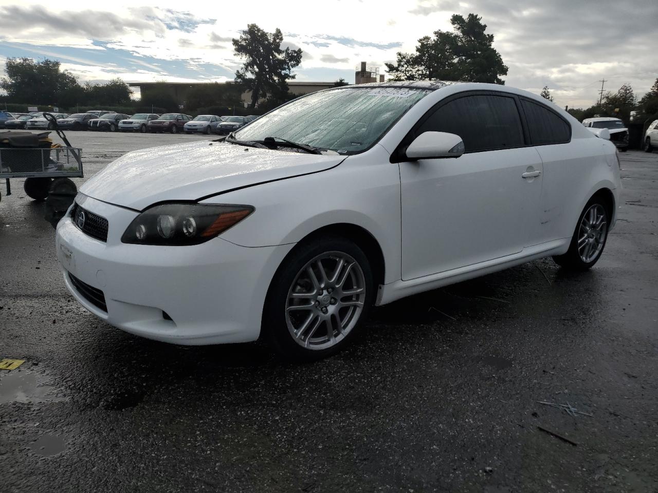 2008 TOYOTA SCION TC  2008 image
