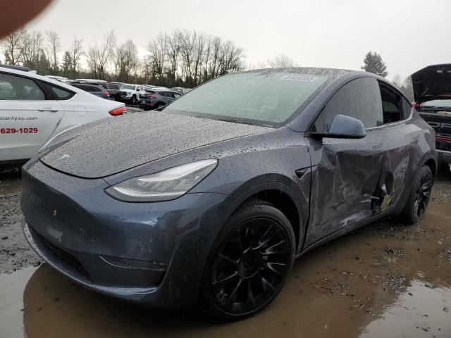2020 TESLA MODEL Y  2020 image