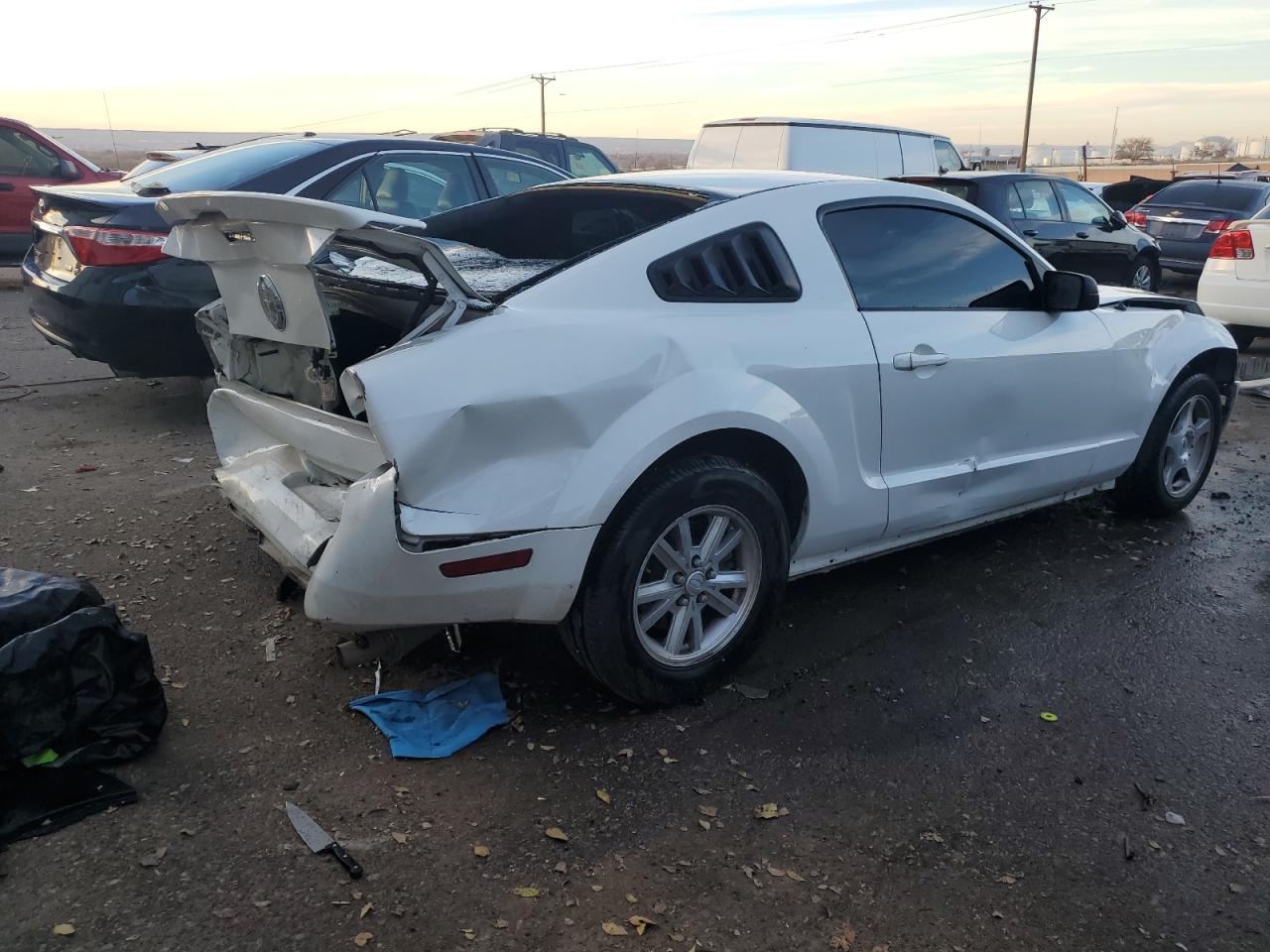 Изображение 3 2007 FORD MUSTANG  2007 с VIN 1ZVFT80N675307100
