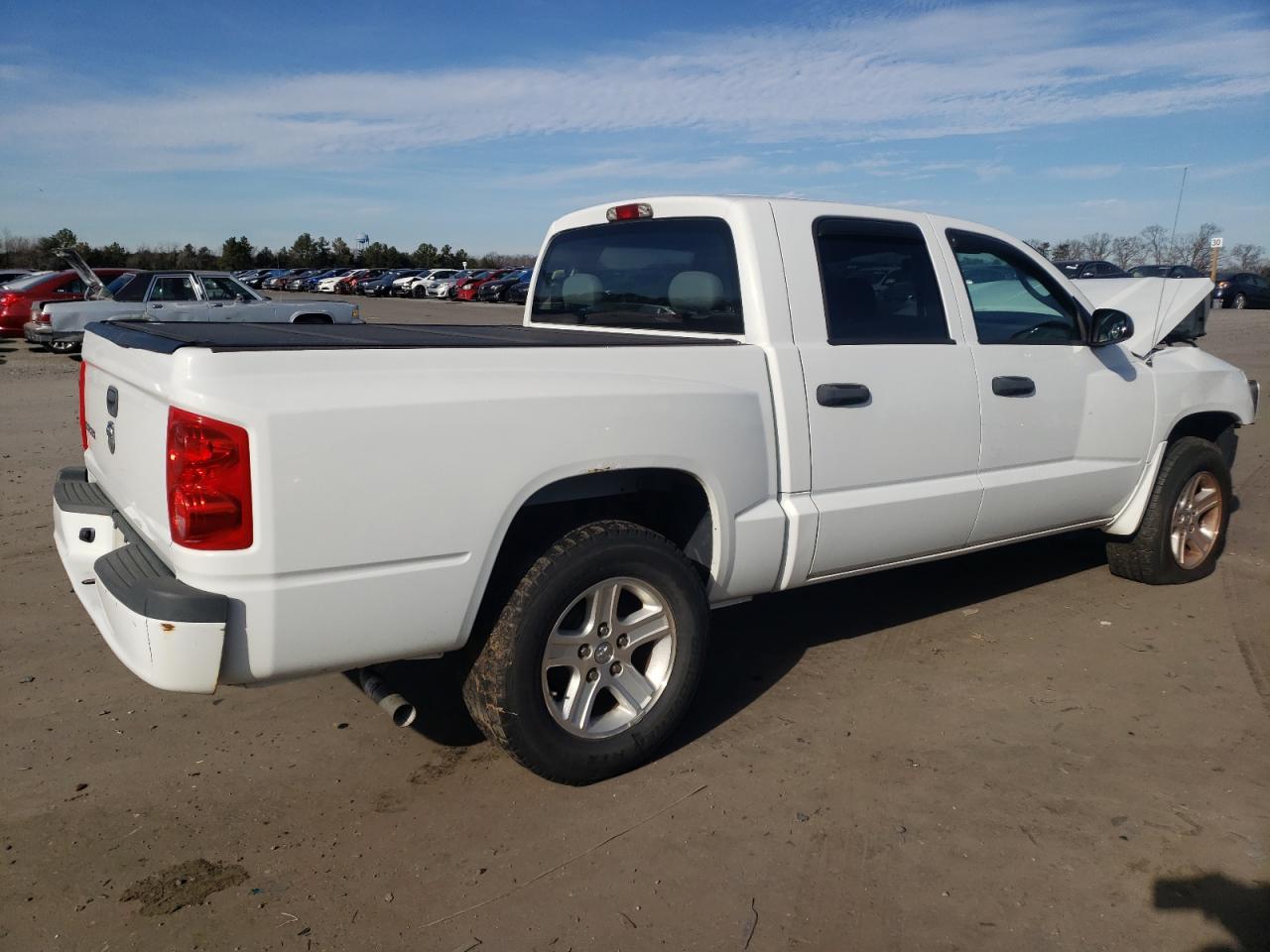 Image 3 of 2010 DODGE DAKOTA SXT 2010 with VIN 1D7CW3GK3AS146103
