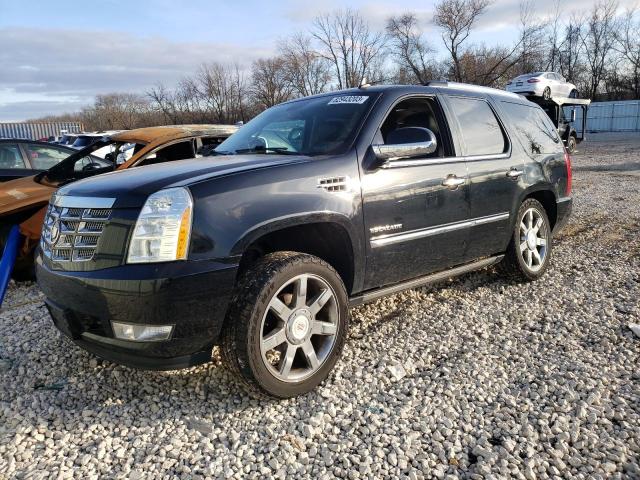2010 CADILLAC ESCALADE PREMIUM 2010 image