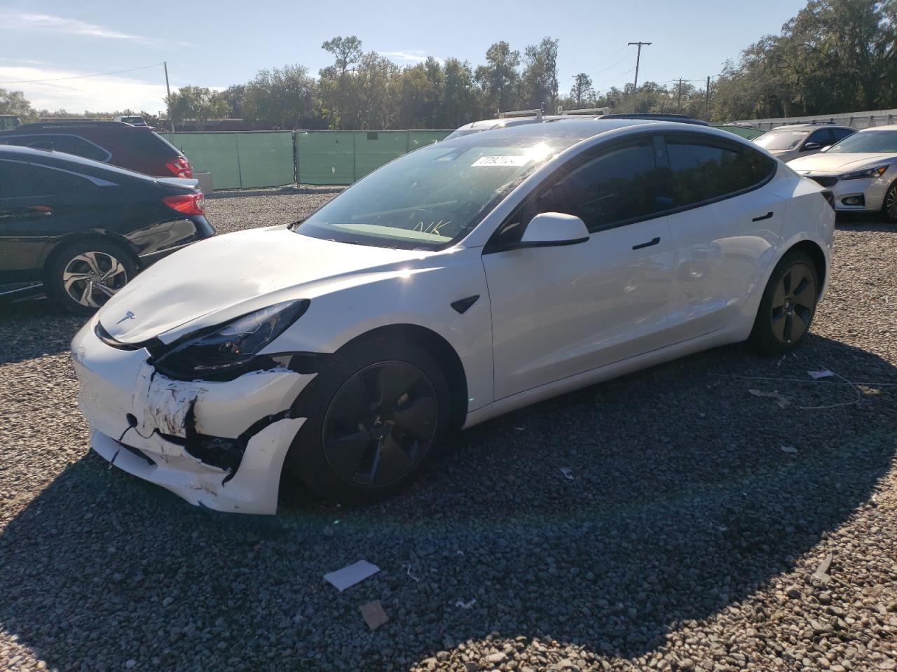 2023 TESLA MODEL 3  2023 image