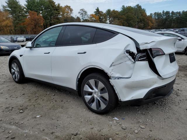 Image 2 of 2023 TESLA MODEL Y  2023 with VIN 7SAYGDEE4PF837455