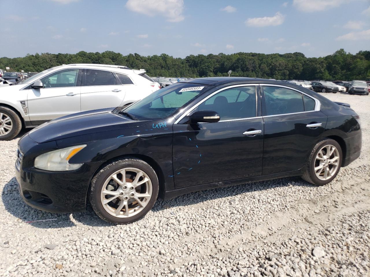 Изображение 2012 NISSAN MAXIMA S 2012