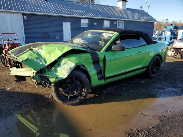 2014 FORD MUSTANG  2014 image