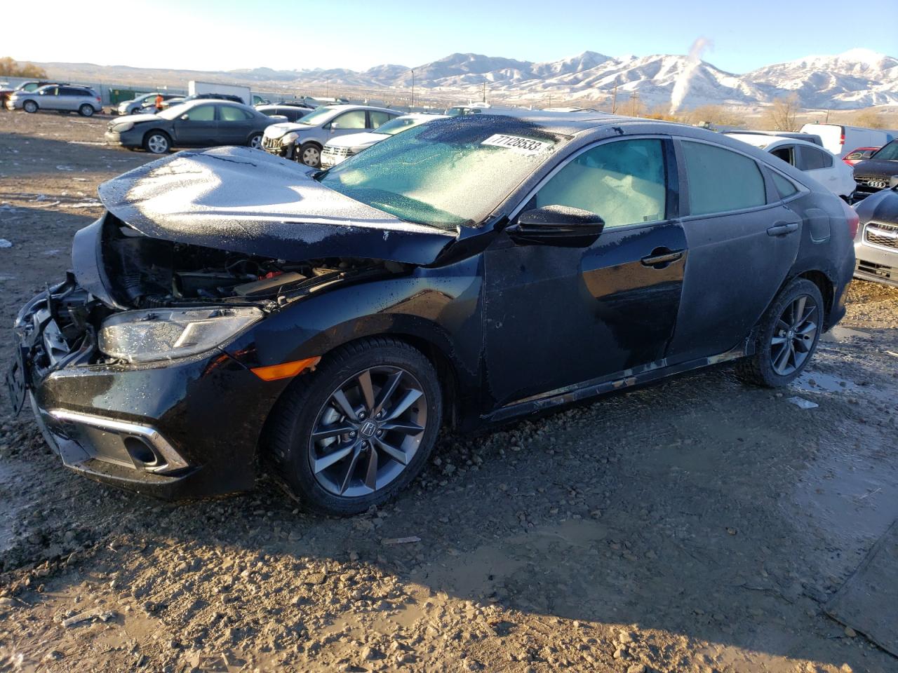 Image 1 of 2021 HONDA CIVIC EX 2021 with VIN 19XFC1F32ME002354