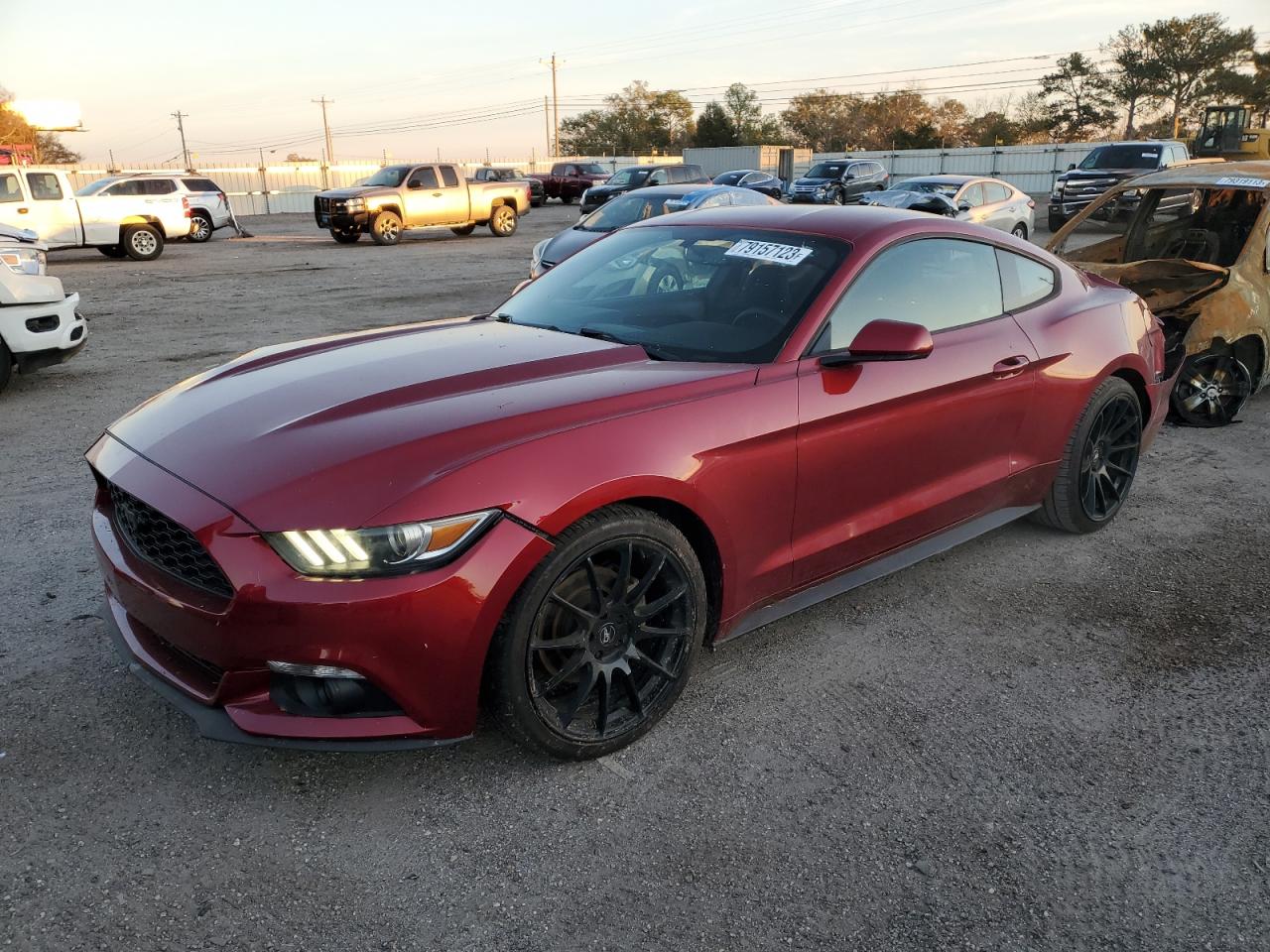 Obraz 2015 FORD MUSTANG  2015