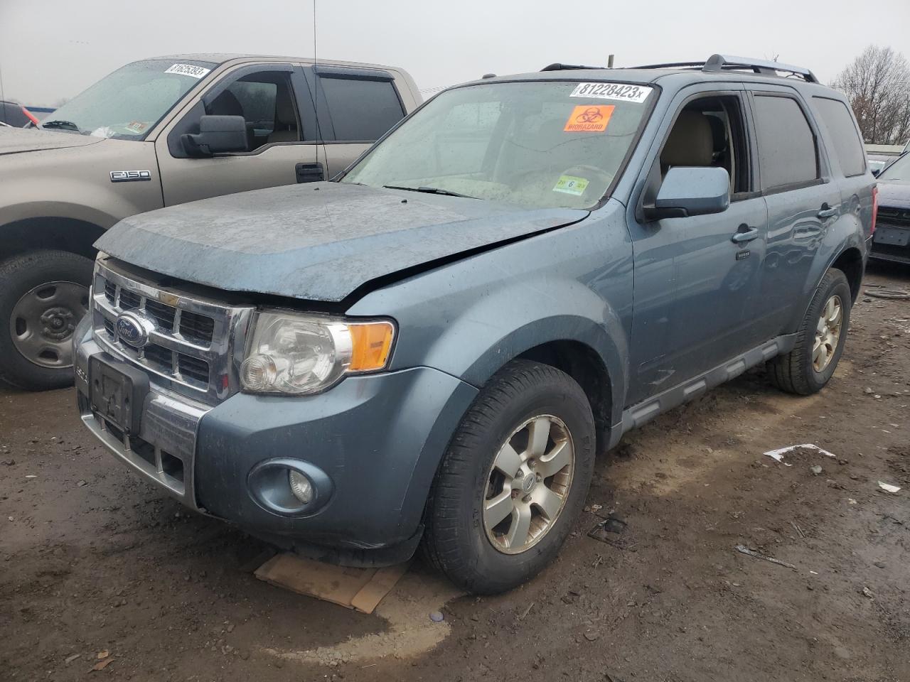 Image 1 of 2010 FORD ESCAPE LIMITED 2010 with VIN 1FMCU9EG2AKD15976
