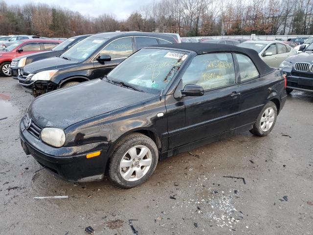 2002 VOLKSWAGEN CABRIO GLX 2002 image