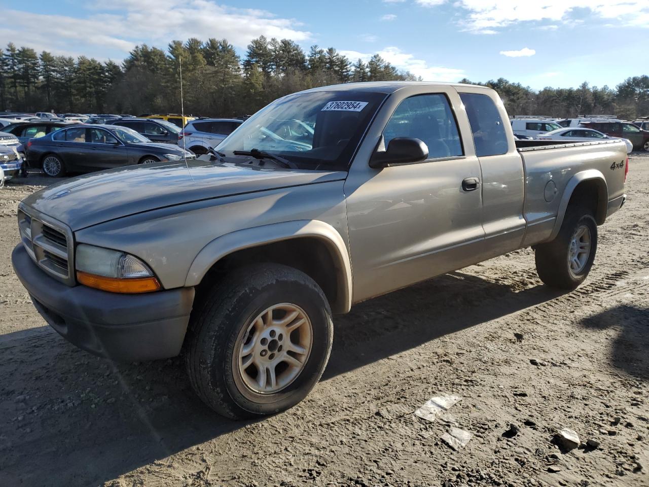 2003 DODGE DAKOTA SXT 2003 image