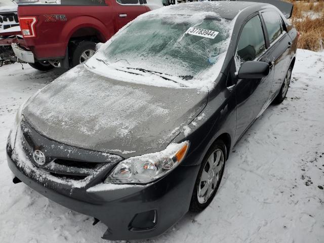 Obraz 1 z 2012 TOYOTA COROLLA BASE 2012 z VIN 2T1BU4EEXCC841181