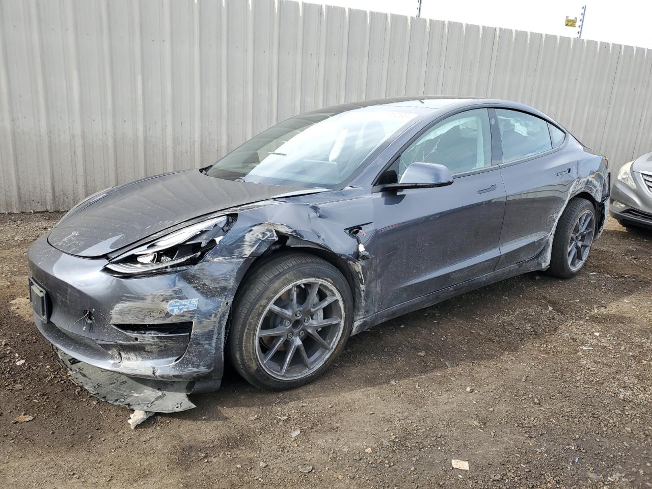 2021 TESLA MODEL 3  2021 image