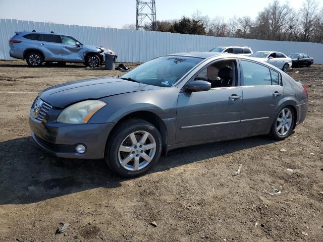2004 NISSAN MAXIMA SE 2004 image