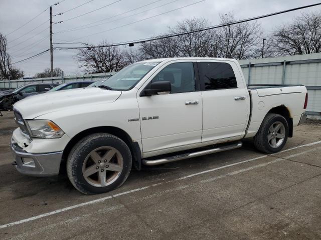 Изображение 1 2009 DODGE RAM 1500  2009 с VIN 1D3HV13TX9J531236