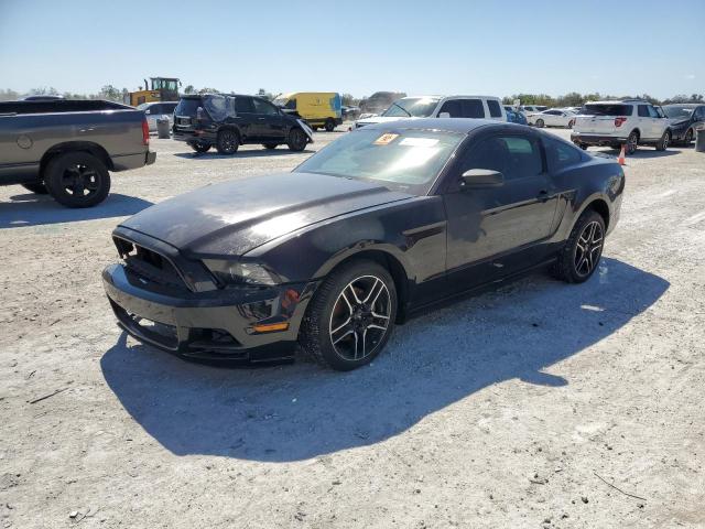2013 FORD MUSTANG  2013 image