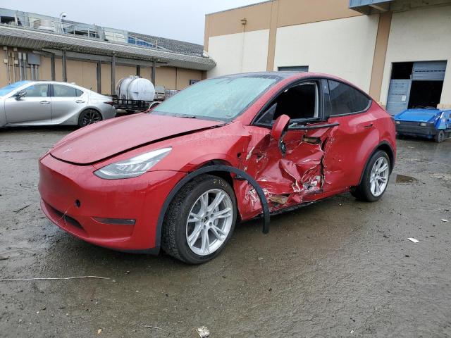 2021 TESLA MODEL Y  2021 image