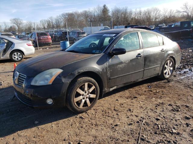 2006 NISSAN MAXIMA SE 2006 image
