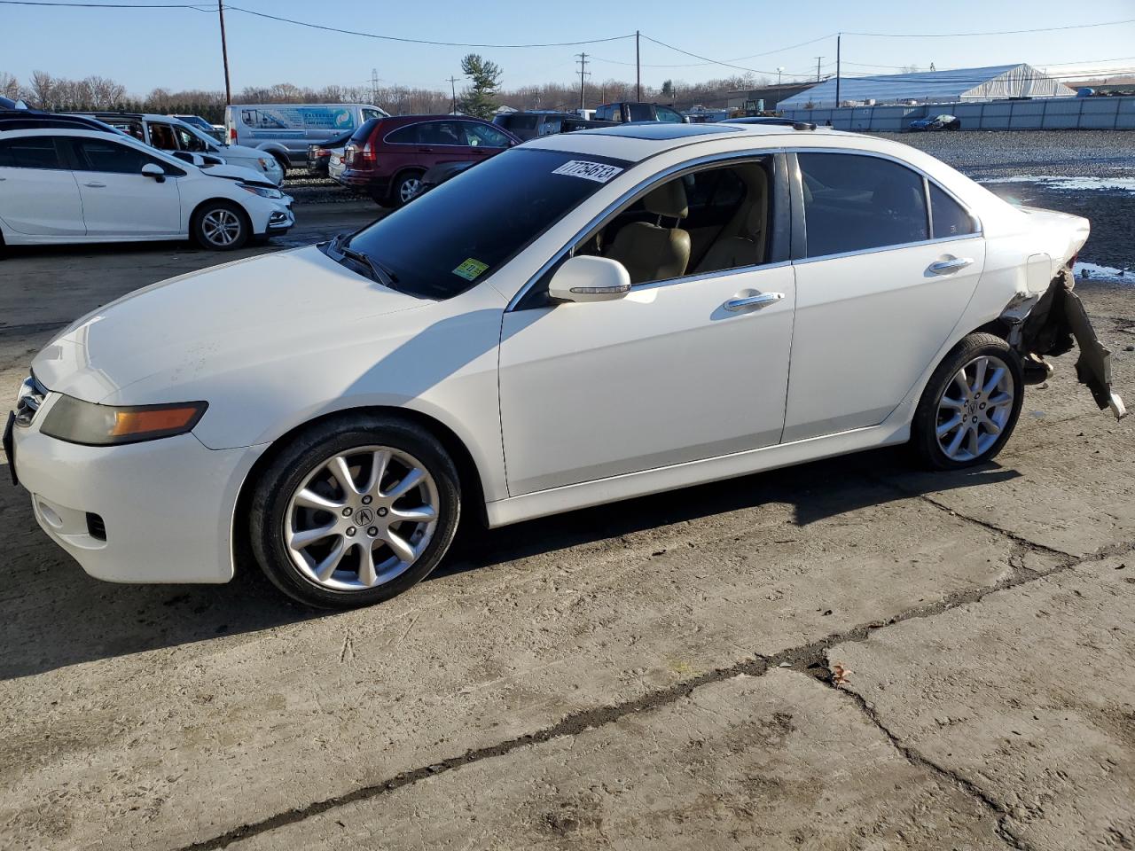 Obraz 2008 ACURA TSX  2008