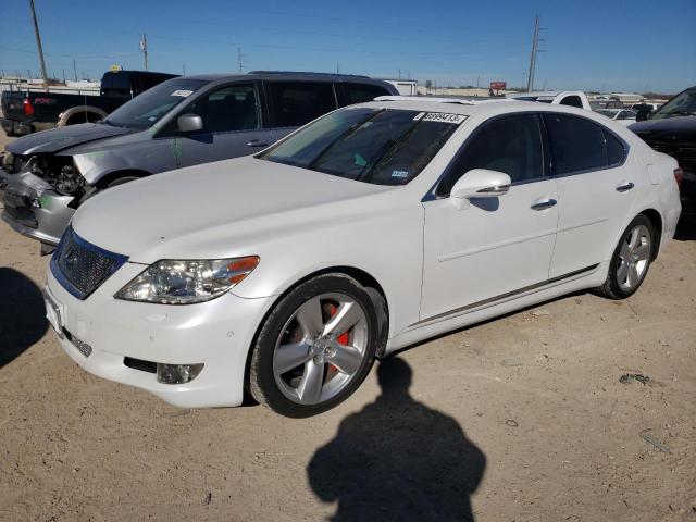2010 LEXUS LS 460 2010 image