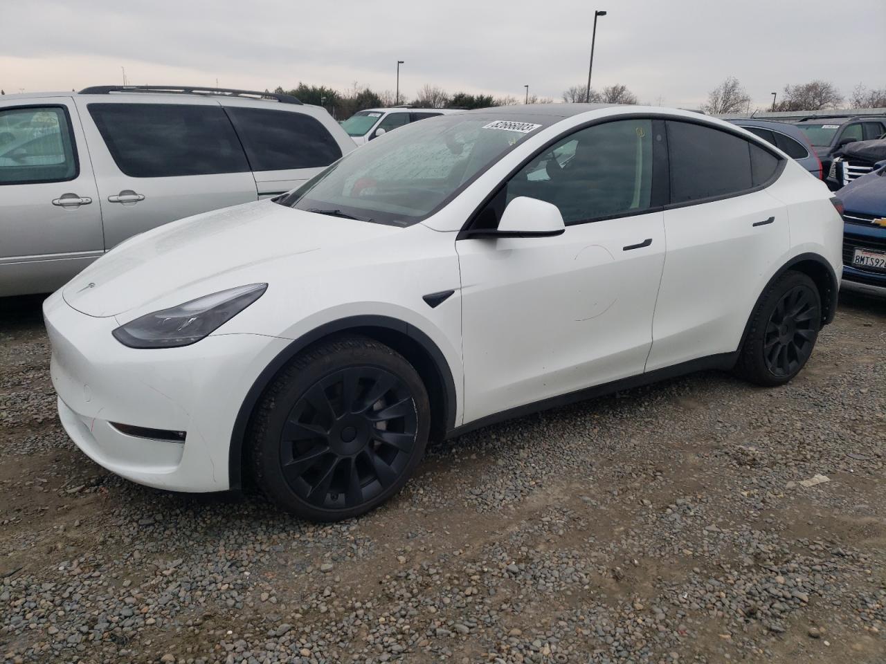 2023 TESLA MODEL Y  2023 image
