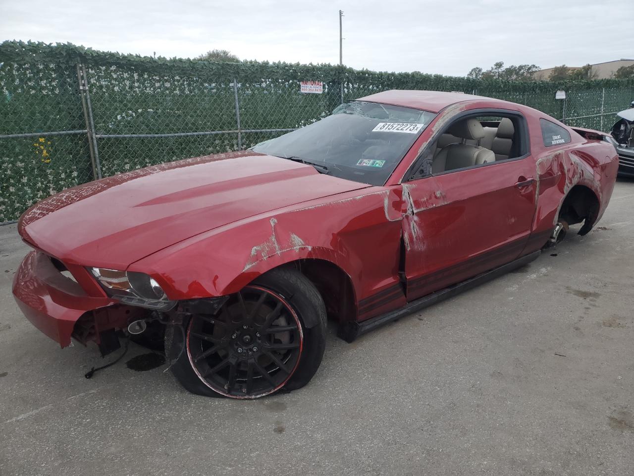 Изображение 1 2012 FORD MUSTANG  2012 с VIN 1ZVBP8AM1C5220353