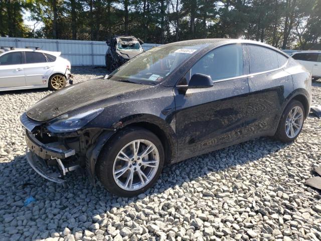 2023 TESLA MODEL Y  2023 image