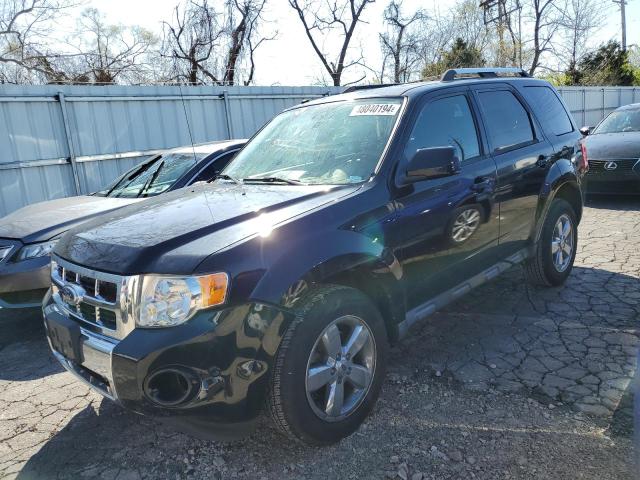 Obraz 2010 FORD ESCAPE LIMITED 2010