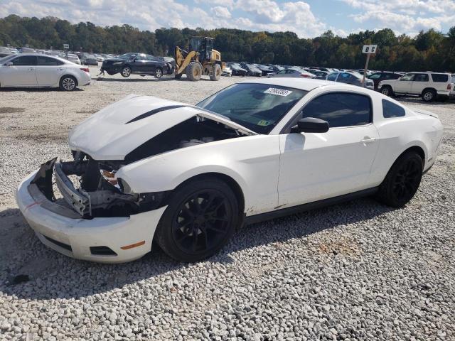 Obraz 1 z 2012 FORD MUSTANG  2012 z VIN 1ZVBP8AM6C5204584