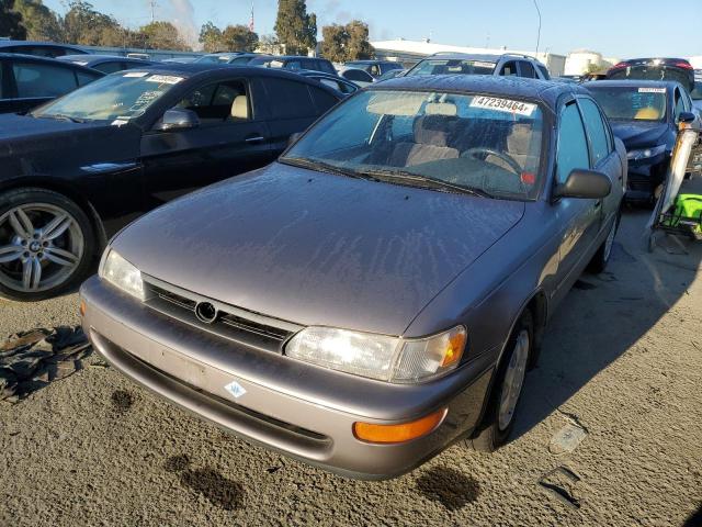 Obraz 1995 TOYOTA COROLLA LE 1995