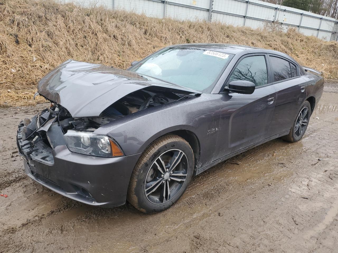 2014 DODGE CHARGER R/T 2014 image
