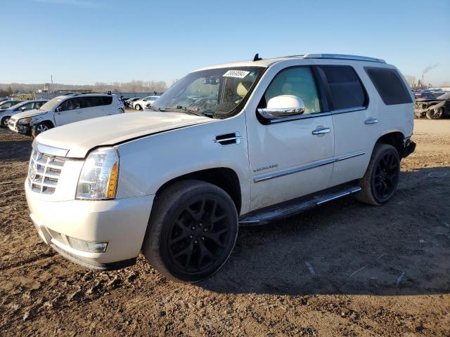 2014 CADILLAC ESCALADE LUXURY 2014 image