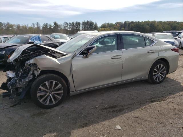 2020 LEXUS ES 350 BASE 2020 image