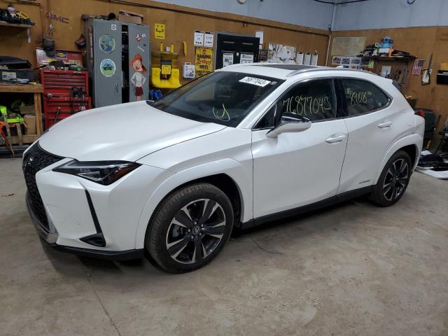 Obraz 2022 LEXUS UX 250H BASE 2022