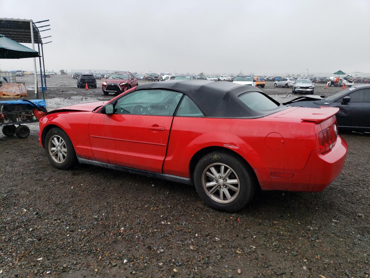 Obraz 2 z 2008 FORD MUSTANG  2008 z VIN 1ZVHT84N985184736
