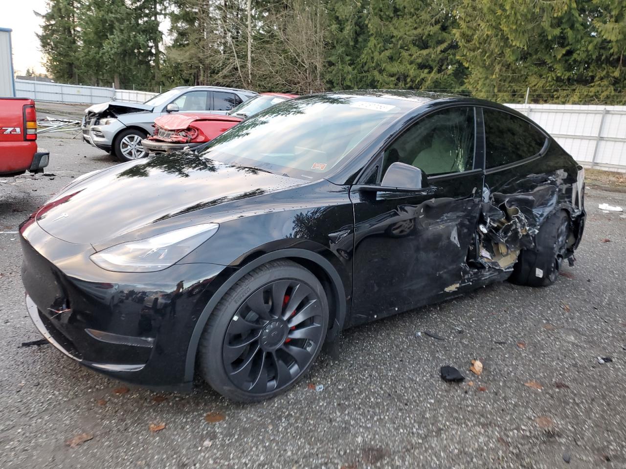 Obraz 2022 TESLA MODEL Y  2022