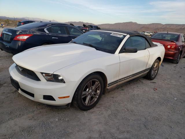 2010 FORD MUSTANG  2010 image