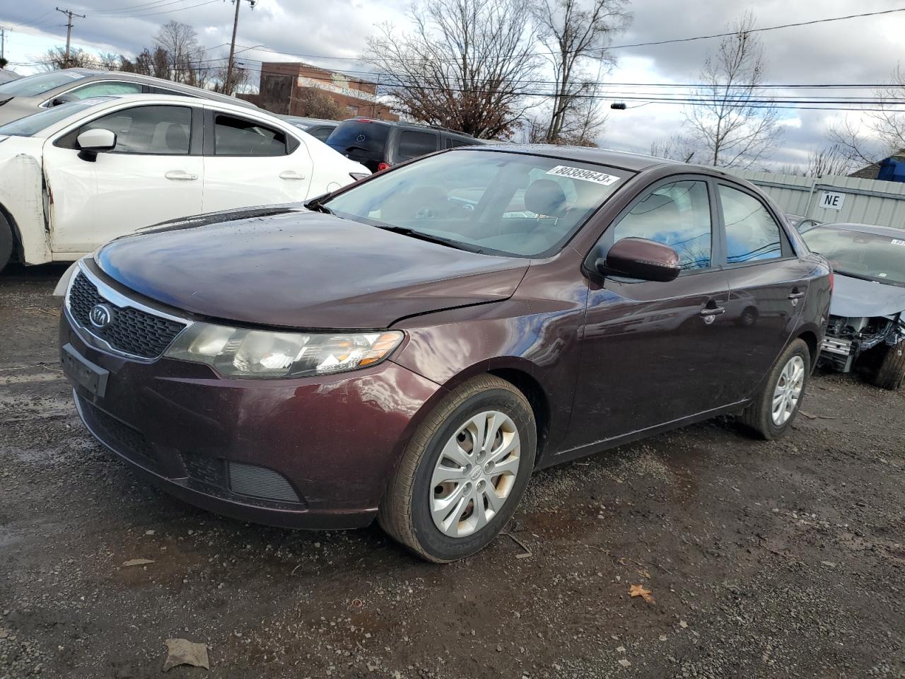 Obraz 2011 KIA FORTE EX 2011