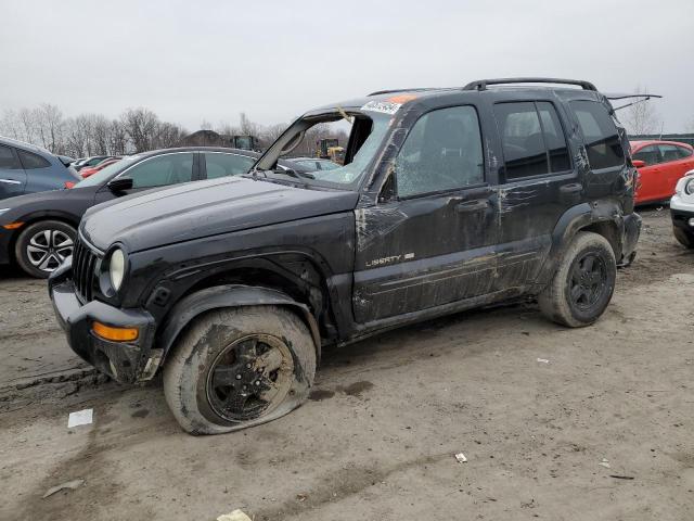 Изображение 1 2002 JEEP LIBERTY LIMITED 2002 с VIN 1J4GL58K52W254452