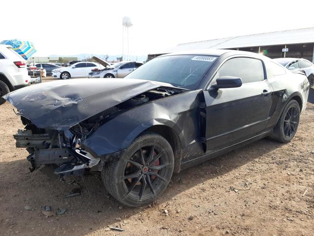 2014 FORD MUSTANG  2014 image
