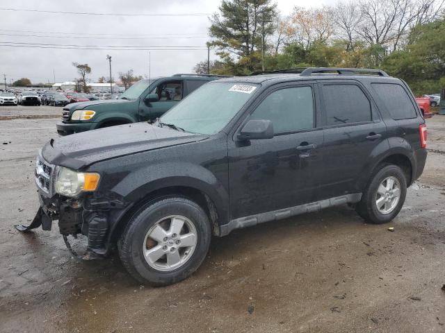 2009 FORD ESCAPE XLT 2009 image