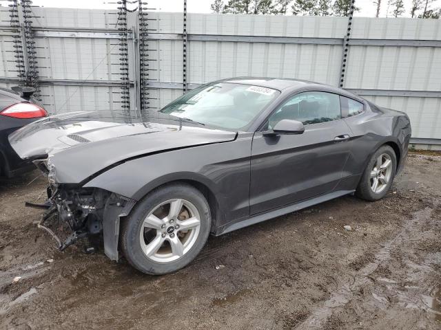 2019 FORD MUSTANG  2019 image